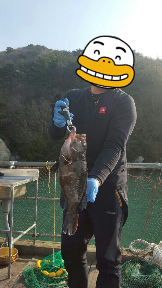 6eff2f099141538c5724dea869ceb563.jpg
