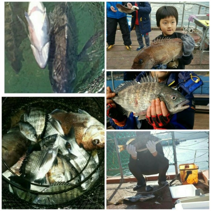 7bebe8abca7208e82c5683064575e3d8.jpg