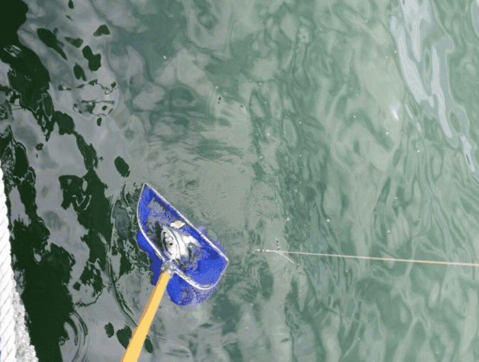 b863185a74d669fd7ba7ef9e599d5569.gif