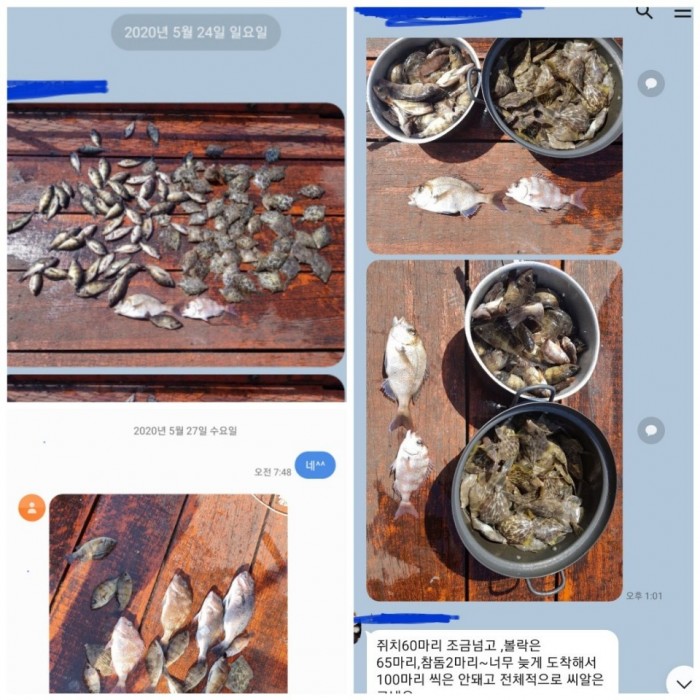caa38a2e67f508c594675d824da386b6.jpg