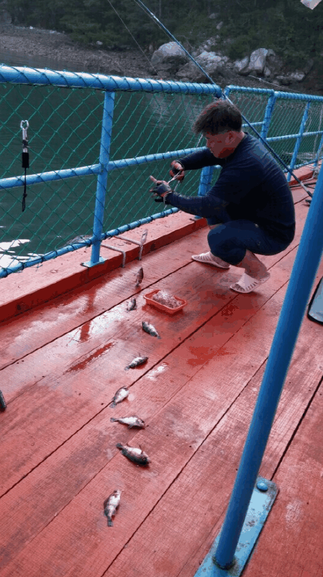 ff98d9ad2fbc61a0b77ed909e0d5f3d6.gif